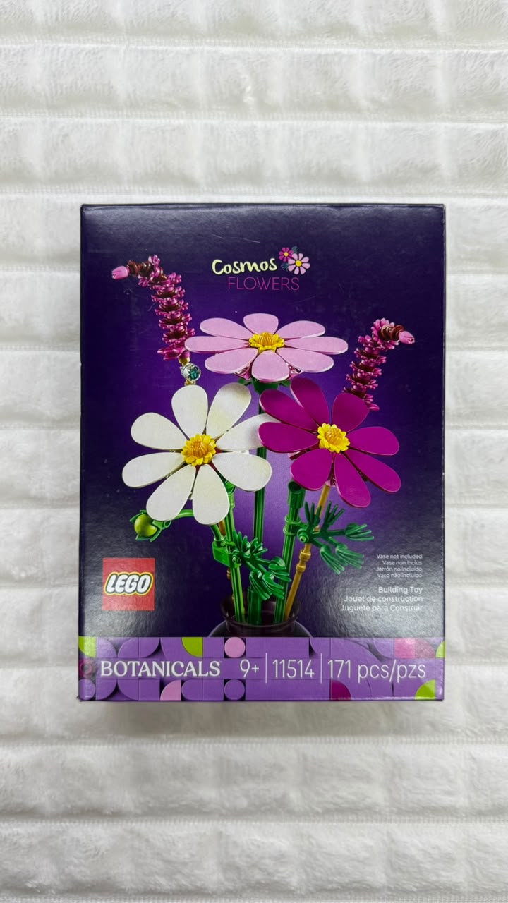 Lego Cosmos