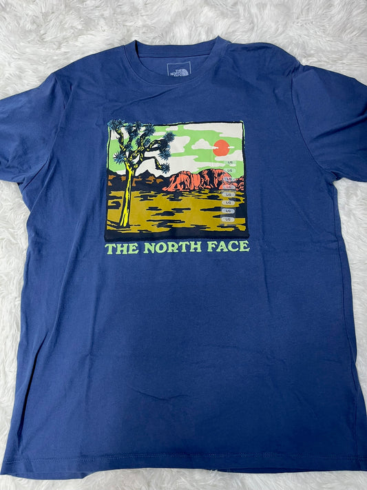 Playera azul L Northface