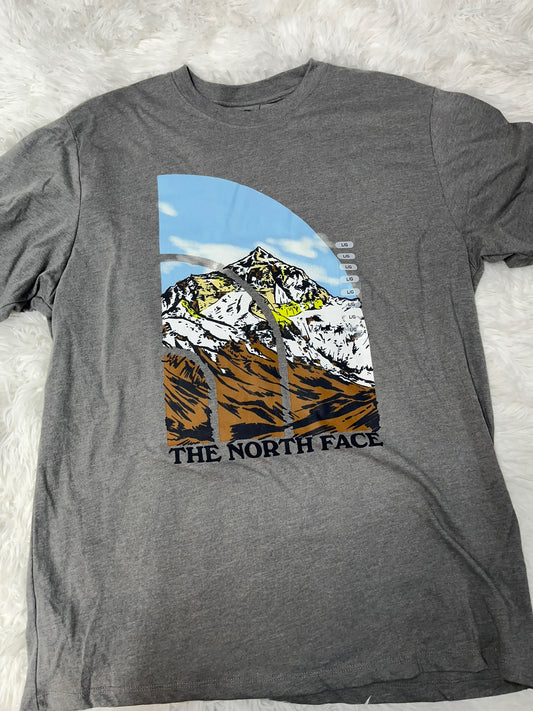 Playera Gris L North Face